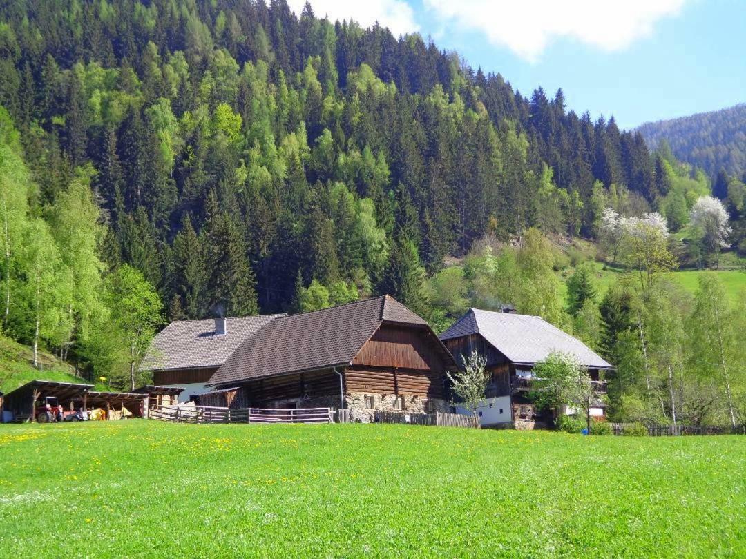 Apartment Zum Wasserfall Krakaudorf Екстериор снимка